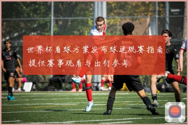 世界杯看球方案发布球迷观赛指南 提供赛事观看与出行参考