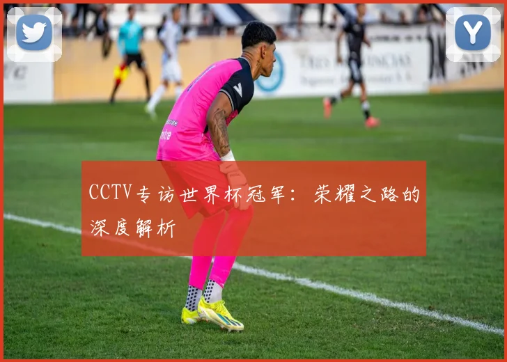 CCTV专访世界杯冠军：荣耀之路的深度解析